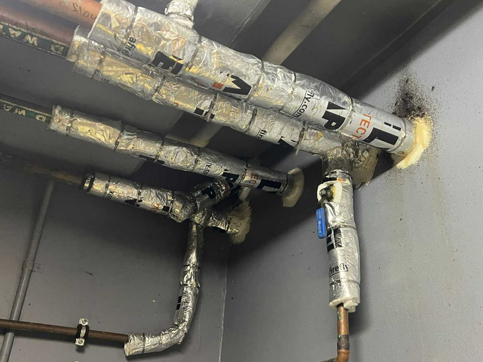 A Wall-Mounted Pipe System Designed for Fire Protection, Showcasing Two Pipes Connected Securely to The Wall — All Passive Services in West Gosford, NSW